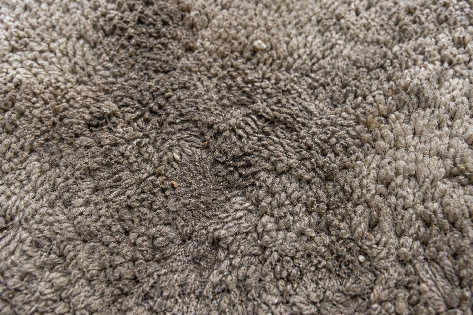 Carpet cleaning — before