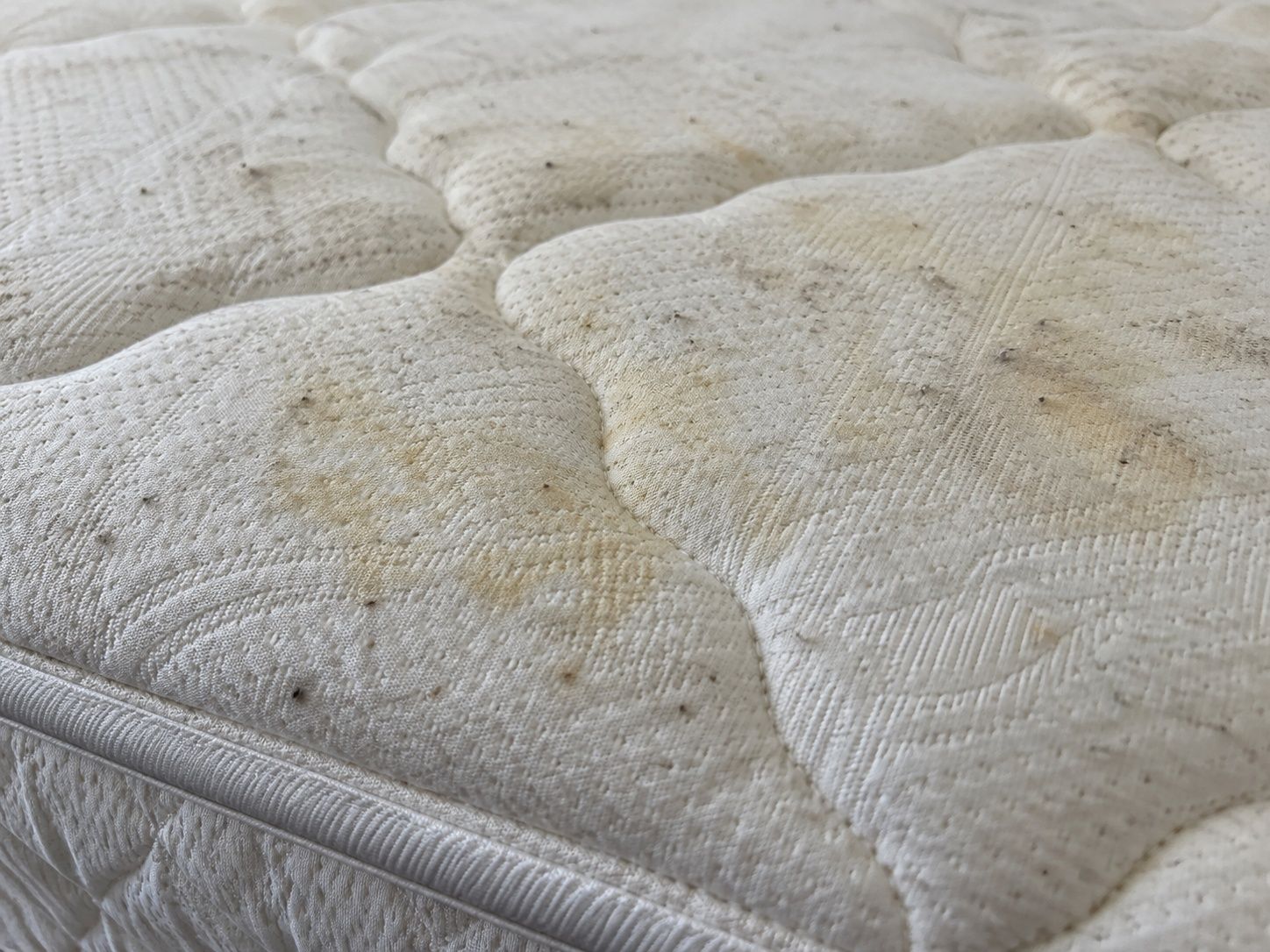 Mattress cleaning — before